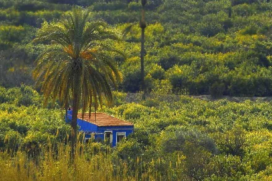 Sol Mediterraneo Archena Eksteriør bilde