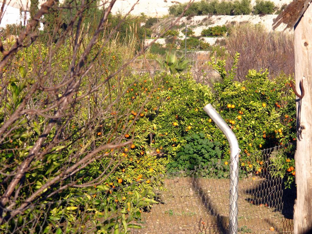 Sol Mediterraneo Archena Eksteriør bilde